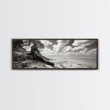 Coastal Tree Roots, Windswept Beach, Natural Form, Framed Canvas Print, Boho Wall Art, Entryway Decor, Beach House Aesthetic