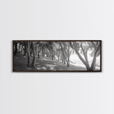 Forest Path, Tree Tunnel, Light Shadows, Woodland Magic, Framed Canvas Print, Nature Lover Gift, Entryway Wall Art, Modern Rustic Style