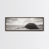Windswept Dunes, Coastal Brush, Tumbleweed Form, Beach Nature, Framed Canvas Print, Fall Wall Art, Rustic Decor, Neutral Bedroom Style