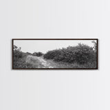 Wild Apple Path, Nature Overgrowth, Autumn Orchard Trail, Canvas Print, Fall Farmhouse Kitchen Art, Rustic Seasonal Wall Decor