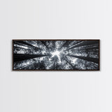 Redwood Trees, Forest Canopy, Looking Upward, Canvas Print, Black and White Nature Art, Meditation Room Decor, Minimalist Wall Art