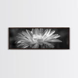 Soft Bloom, Desert Cactus Flower, Close-Up Botanical, Modern Black White Art, Framed Canvas Print, Bathroom Wall Art, Nature Photography