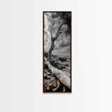 Weathered Tree, Coastal Roots, Dramatic Sky, Natural Form – Canvas Print, Living Room Wall Art, Monochrome Photography, Driftwood Decor