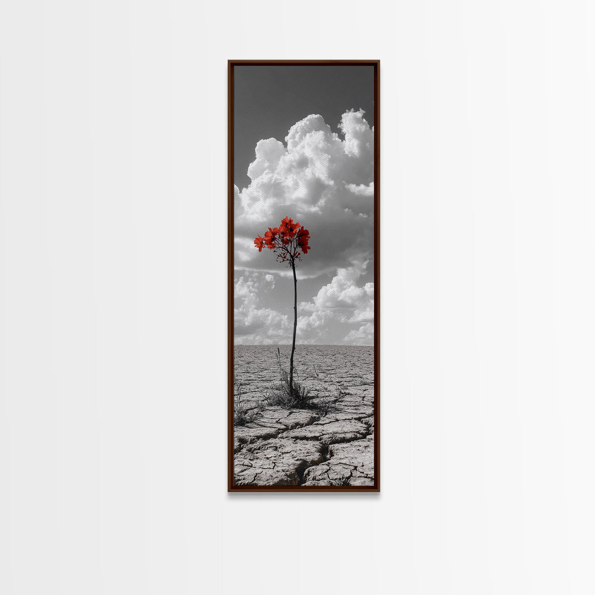 Red Bloom, Desert Flower, Solitary Beauty, Bold Nature, Framed Canvas Print, Dramatic Wall Art, Modern Bedroom Decor, Minimalist Botanical Art