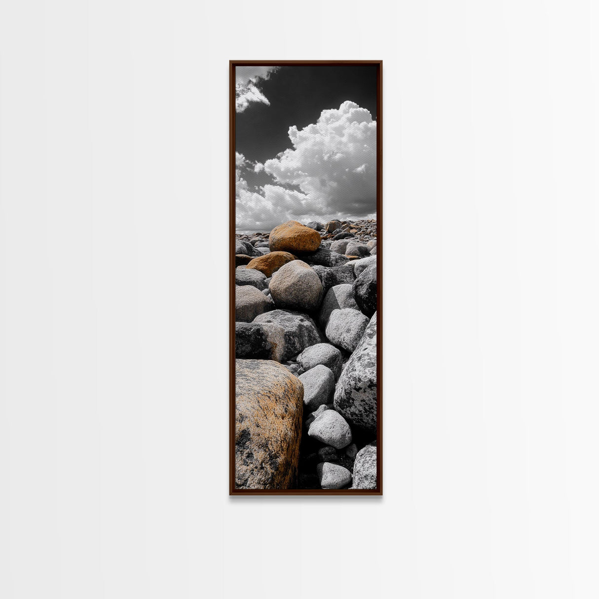 Golden Boulder, Rock Field, Dramatic Sky, Earth Tone Print, Framed Canvas Print, Nature Inspired Decor, Autumn Entryway Artwork
