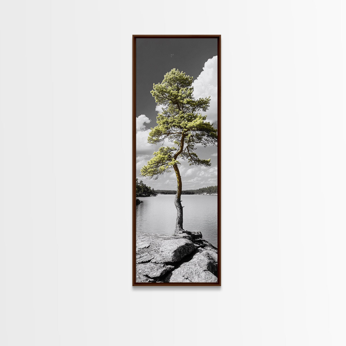 Twisted Pine Tree, Nature Serenity, Calm Wilderness, Coastal Forest, Framed Canvas Print Boho Bedroom Wall Art, Earth Tone Decor