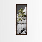 Twisted Pine Tree, Nature Serenity, Calm Wilderness, Coastal Forest, Framed Canvas Print Boho Bedroom Wall Art, Earth Tone Decor