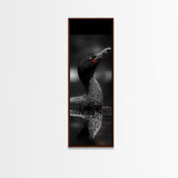 Loon Bird, Red Eye, Monochrome Wildlife, Nature Framed Canvas Print, modern living room wall art, black and white animal art