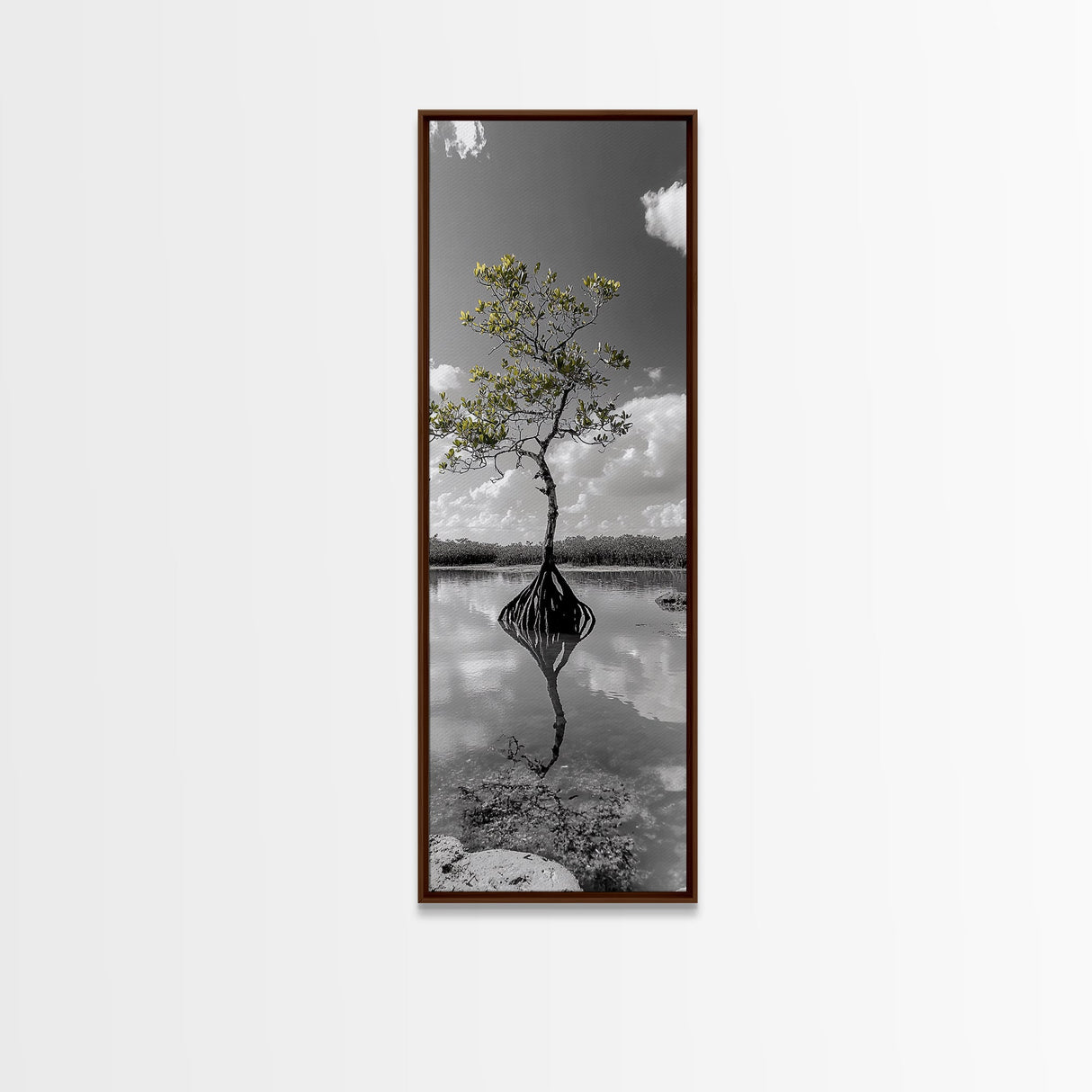 Mangrove Tree, Reflected Roots, Tranquil Nature, Coastal Zen Framed Canvas Print, tropical minimalist wall art, spa room decor