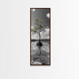 Mangrove Tree, Reflected Roots, Tranquil Nature, Coastal Zen Framed Canvas Print, tropical minimalist wall art, spa room decor