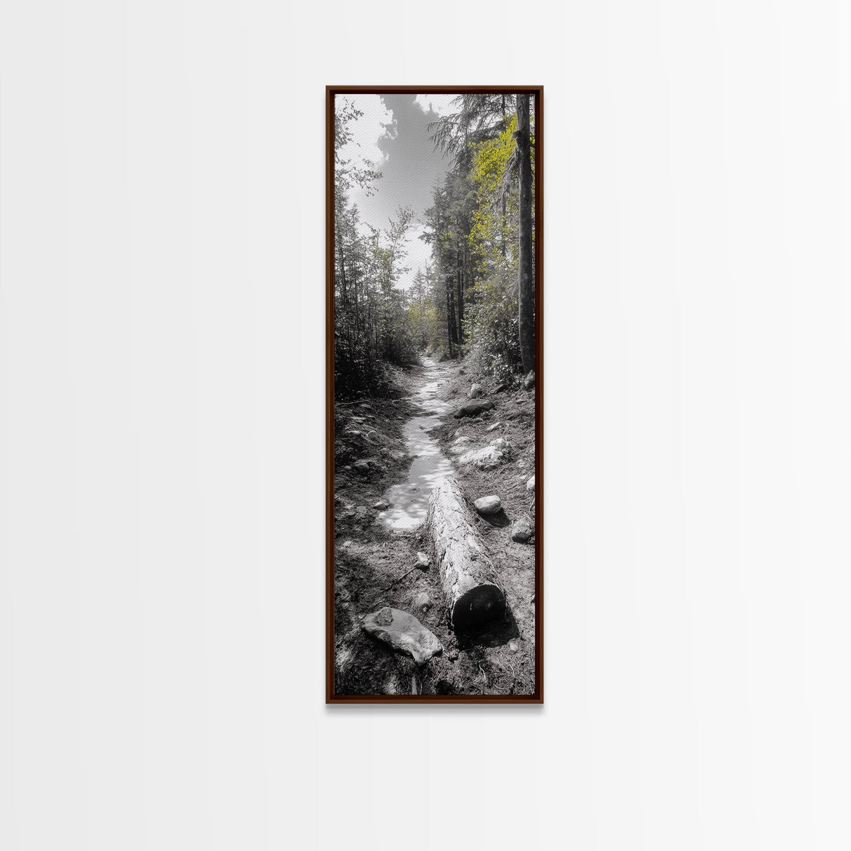 Forest Path, Autumn Leaves, Nature Trail, Framed Canvas Print, Black and White Wall Art, Cabin Decor, Rustic Hallway Accent