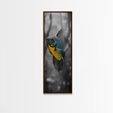 Bluegill Fish, Underwater Life, Bold Colors, Freshwater Beauty, Framed Canvas Print, Nature Art, Bathroom Wall Art, Aquatic Decor