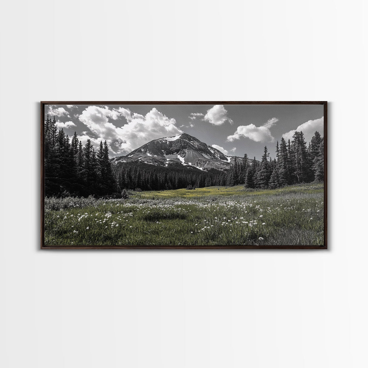 Mountain, Meadow, Wildflowers, Alpine meadow bloom and majestic peak on this Framed Canvas Print, serene Nature Wall Art for Entryway