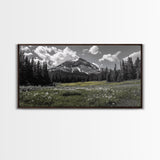 Mountain, Meadow, Wildflowers, Alpine meadow bloom and majestic peak on this Framed Canvas Print, serene Nature Wall Art for Entryway