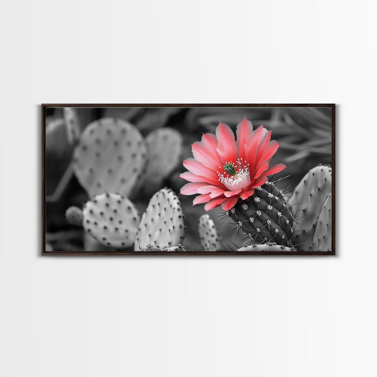 Pink Cactus Bloom, Desert Flower Closeup, Botanical Art, Canvas Print, Southwest Decor, Kitchen Wall Art, Nature Photography Print
