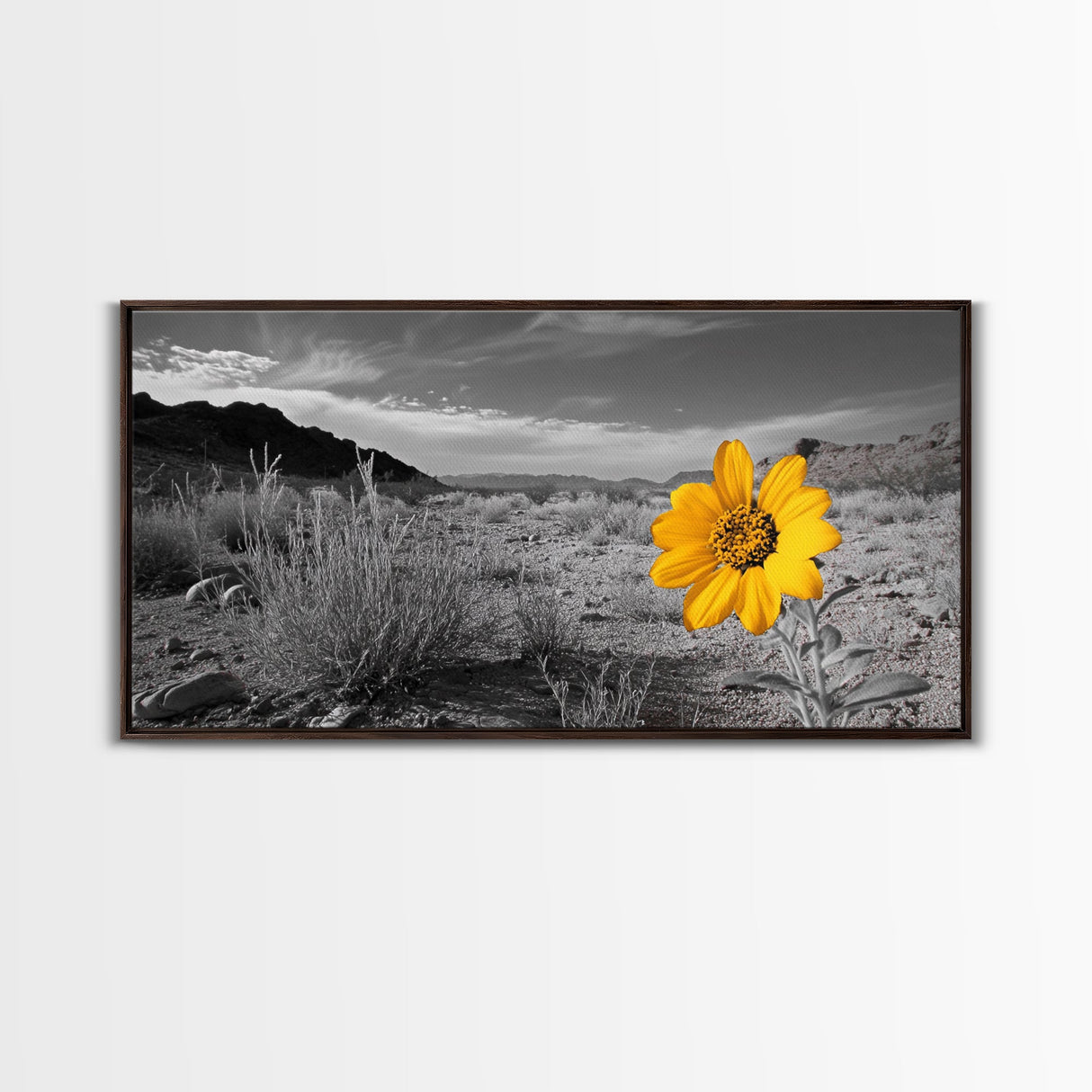 Yellow Flower, Desert Bloom, Monochrome Landscape, Canvas Print, Botanical Wall Art, Minimalist Nature Decor, Modern Kitchen Accent