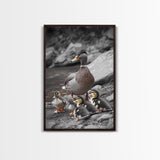 Duck Family, Nature Wildlife, Adorable Ducklings, Framed Canvas Print, Nursery Animal Wall Art, Cozy Farmhouse Decor, Fall Art Print