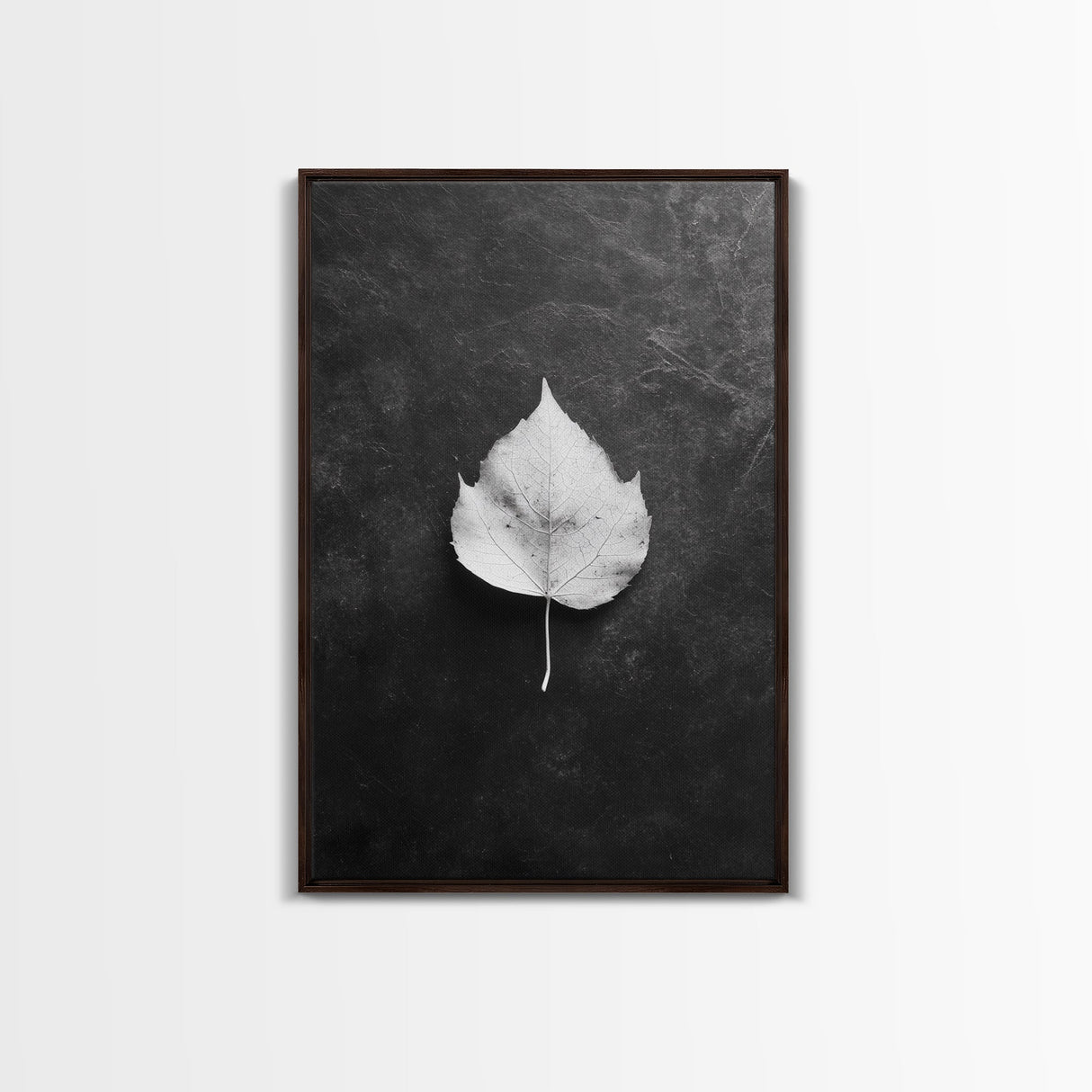 Monochrome Leaf, Nature Minimal, Still Life, Moody Art, Framed Canvas Print, Fall Wall Art, Kitchen Decor, Neutral Modern Aesthetic