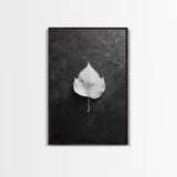 Monochrome Leaf, Nature Minimal, Still Life, Moody Art, Framed Canvas Print, Fall Wall Art, Kitchen Decor, Neutral Modern Aesthetic