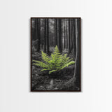 Green Fern, Forest Focus, Lush Nature, Woodland Light, Framed Canvas Print, Botanical Wall Art, Bedroom Decor, Minimalist Plant Art
