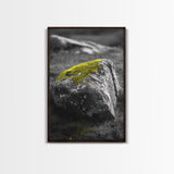 Mossy Stone Closeup, Earthy Nature Texture, Minimal Landscape Print, Framed Canvas Print, Modern Office Wall Decor, Zen Rock Art