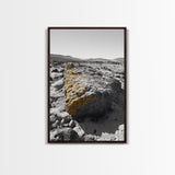 Yellow Lichen Rock, Monochrome Landscape, Desert Texture, Canvas Print, Rustic Wall Art, Minimalist Decor, Entryway or Office Art