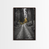 Forest Path, Yellow Trees, Autumn Trail, Framed Canvas Print, Fall Wall Art, Woodland Nature Decor, Cozy Home Accent, Entryway Artwork