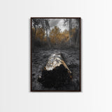 Fallen Log, Autumn Forest, Nature Transition, Framed Canvas Print, Rustic Fall Decor, Cabin Wall Art, Woodland Photography
