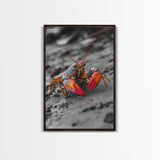 Colorful Lobster, Beach Wildlife, Close-Up Macro Art, Framed Canvas Print, Kitchen Wall Art, Coastal Marine Decor, Vibrant Style
