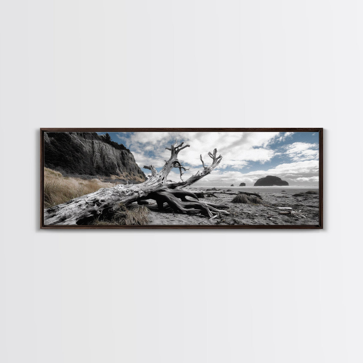 Driftwood, Coastal Tree, Beach Skeleton, Ocean Landscape, Framed Canvas Print, Coastal Decor, Neutral Tones, Office Wall Art