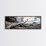 Driftwood, Coastal Tree, Beach Skeleton, Ocean Landscape, Framed Canvas Print, Coastal Decor, Neutral Tones, Office Wall Art