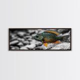 Colorful Fish Closeup, Underwater Art, Nature Photography, Canvas Print, Coastal Bathroom Decor, Vibrant Marine Life Wall Art