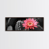 Desert Bloom, Cactus Flower, Vibrant Petals, Nature Beauty, Framed Canvas Print, Boho Wall Art, Living Room Decor, Pink Flower Photography