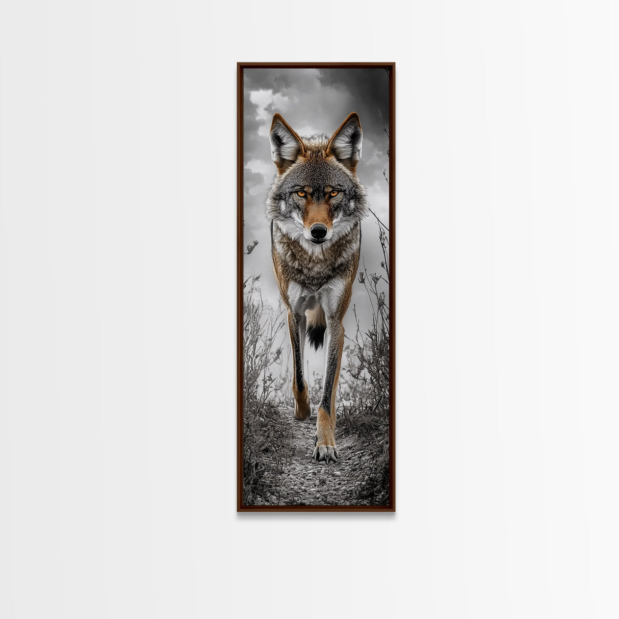 Intense Coyote Stare Framed Canvas Print | Wildlife Wall Art | Rustic Decor | Moody Art | Southwest Wall Art | Above Sofa Art | Gift Idea