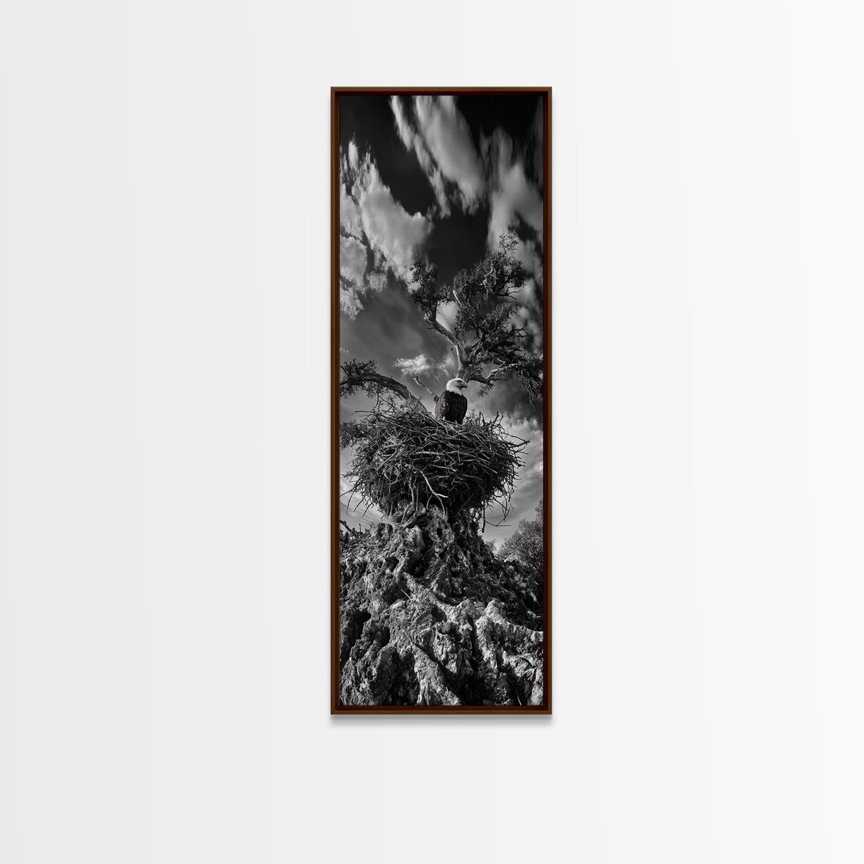 Bald Eagle Nest ,Framed Canvas Print, bird art, moody art, rustic décor, farmhouse art, gift idea, southwest wall art, landscape painting