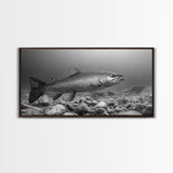 Trout, Fly Fishing Art, Rustic Decor, Coastal Wall Art, Lake Tahoe Art, Fishing Art, Nautical Painting, Framed Canvas Print