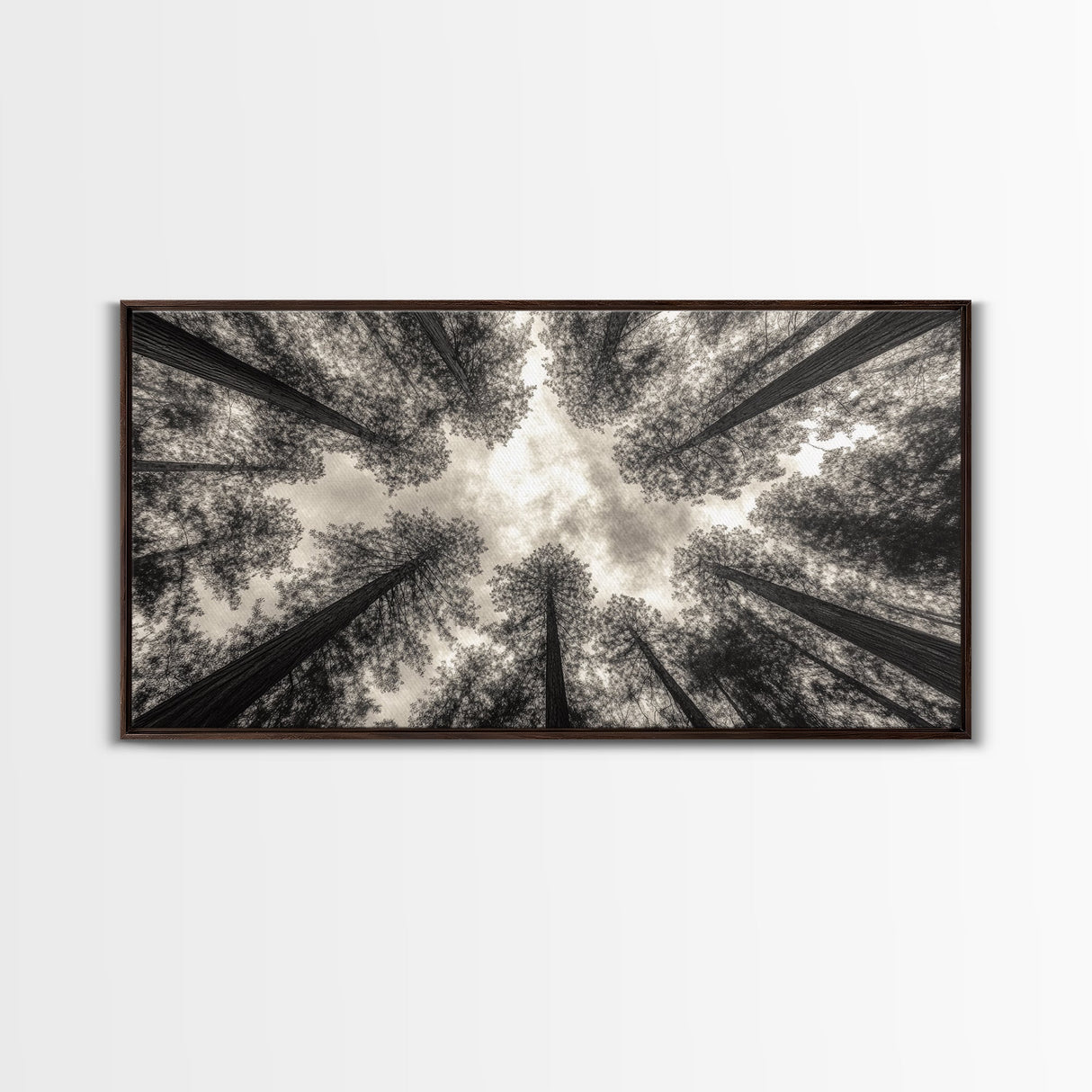 Redwood Trees, Pine Tree Art, Nature Photography, Joshua Tree Art, Extra Wide Art, Forest at Dusk Painting, Canvas Print