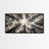 Redwood Trees, Pine Tree Art, Nature Photography, Joshua Tree Art, Extra Wide Art, Forest at Dusk Painting, Canvas Print