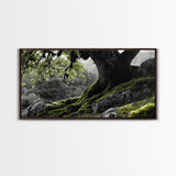 Mossy Oak Tree, oak tree art, nature wall art, rustic art, botanical prints, green wall art, extra wide art, Framed Canvas Print