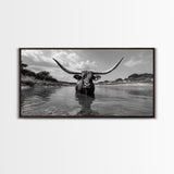 Longhorn in Water, rustic art, western decor, bull and bear art, cowboy wall art, farmhouse art, panoramic art, Framed Canvas Print