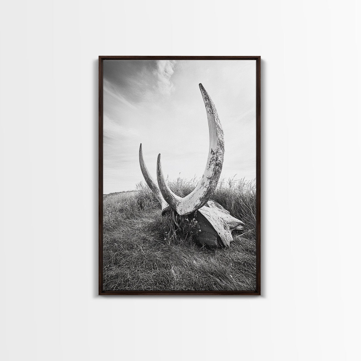 Large horns, rustic skull, bull and bear art, moody wall art, desert decor, cowboy aesthetic, framed canvas print, minimalist art