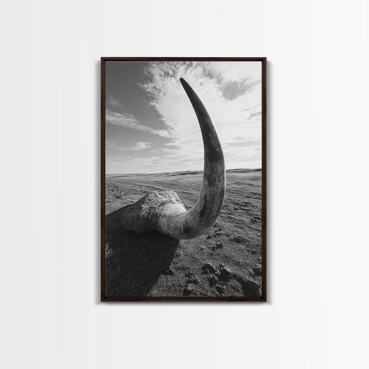 Lone Horn, desert minimalism, rustic western art, wabi sabi decor, moody photography, framed canvas print, black and white, southwest art