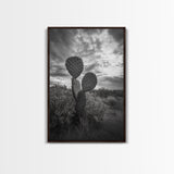Prickly Pear, cactus art, Joshua tree art, wabi sabi art, moody art, black and white, framed canvas print, minimalist decor, rustic wall art