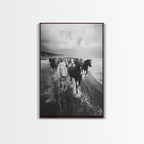 Horse wall art, wild mustangs, moody art, rustic decor, nature photography, black and white art, panoramic art, canvas print, living room art