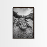 Lizard art, wildlife photography, moody art, desert decor, black and white photography, wabi sabi wall art, framed canvas print, unique gift