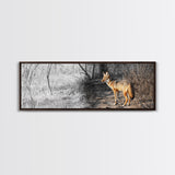Coyote in Forest, Wildlife Wall Art, Rustic Decor, Nature Art, Moody Art, Extra Wide Art, Panoramic Art, Framed Canvas Print