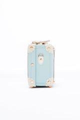 SarahFace Hand Case - Sky Blue's