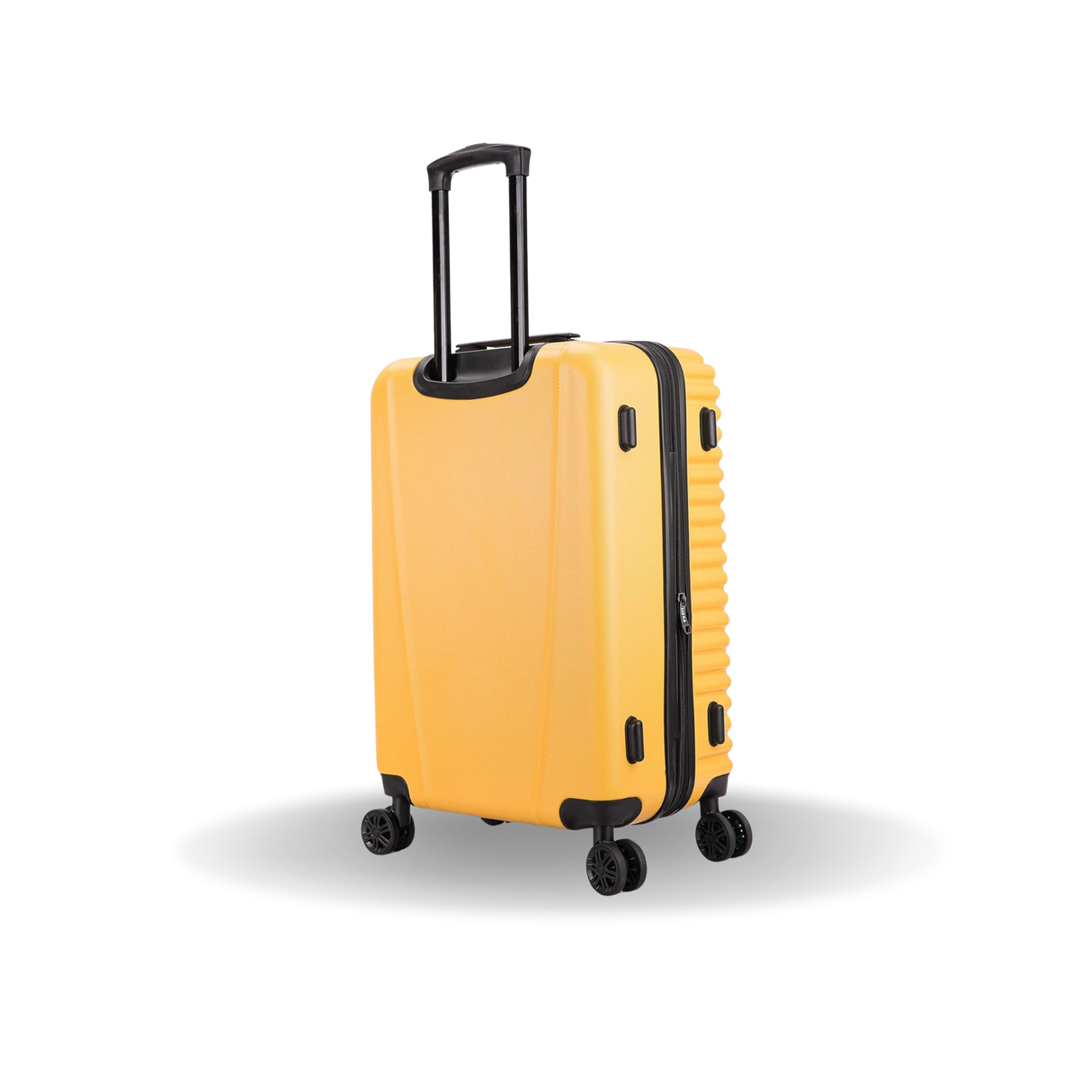 Ally Medium 24"