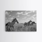 Fine Art Framed Canvas Print, Metal Art, Black & White Photo of Wild Mustangs, Horse Art, American Horses Landscape / Nature / Wildlife Art