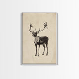 Reindeer Canvas Print - Framed Canvas - Minimalist Christmas Art - Boho Christmas Art - Rustic Christmas Art